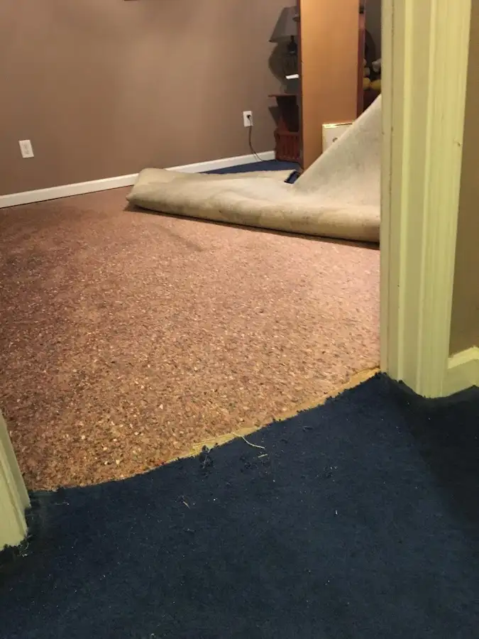 Carpet pad removal revealing water damage during Water Mitigation Services in Morris
