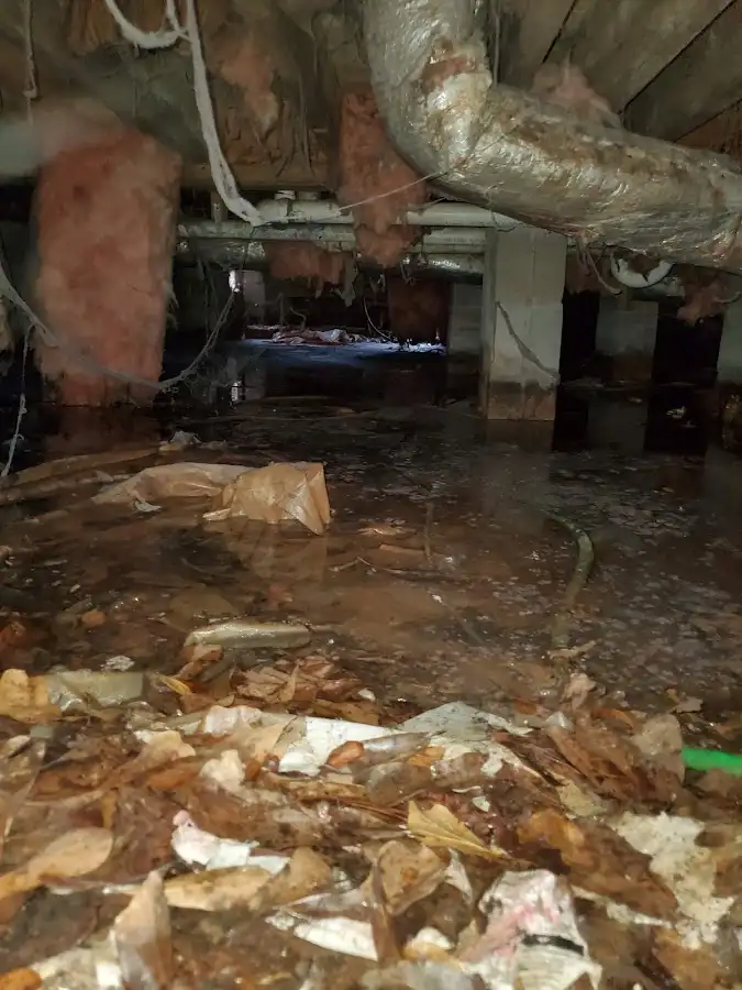 Crawl space flood assessment for Leak Detection & Repair in Morris