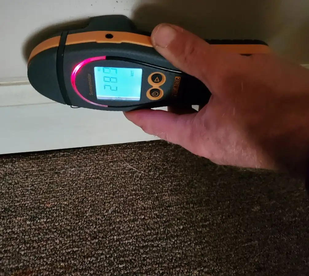 Moisture detection at baseboard during Sewage Cleanup & Sanitation in Morris